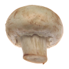 Chestnut Mushroom